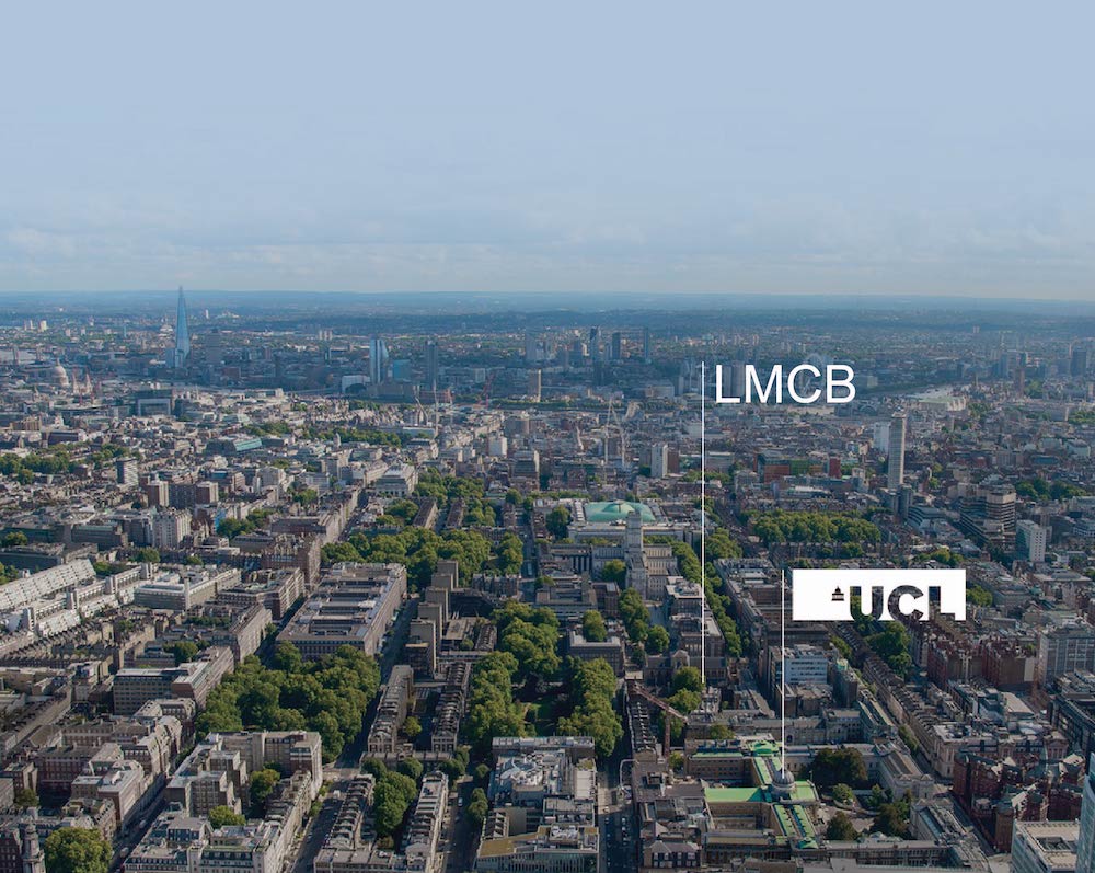 LMCB within UCL