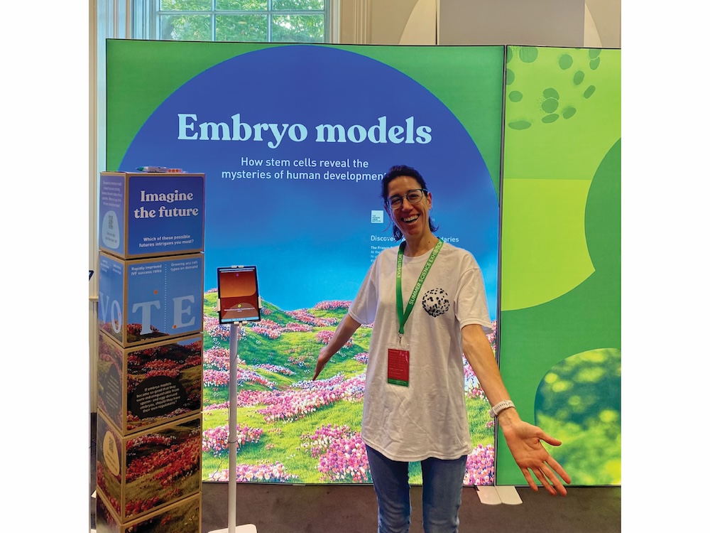 Embryo Models at The Royal Society Summer Exhibition